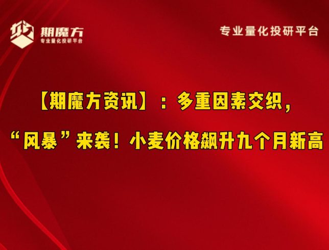 【期魔方资讯】多重因素交织，“风暴”来袭！小麦价格飙升九个月新高|魔方商学院