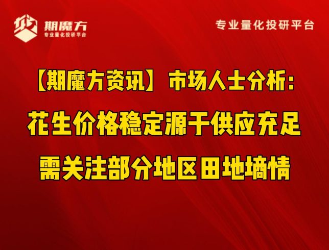 【期魔方资讯】市场人士分析：花生价格稳定源于供应充足，需关注部分地区田地墒情|魔方商学院