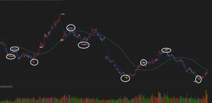 私募大资金指标，主力动向追踪|魔方商学院